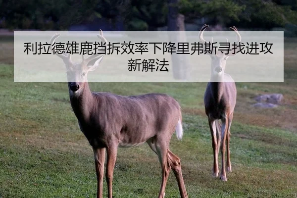 img_1783021517402_711_0_614.jpg（kaiyun）